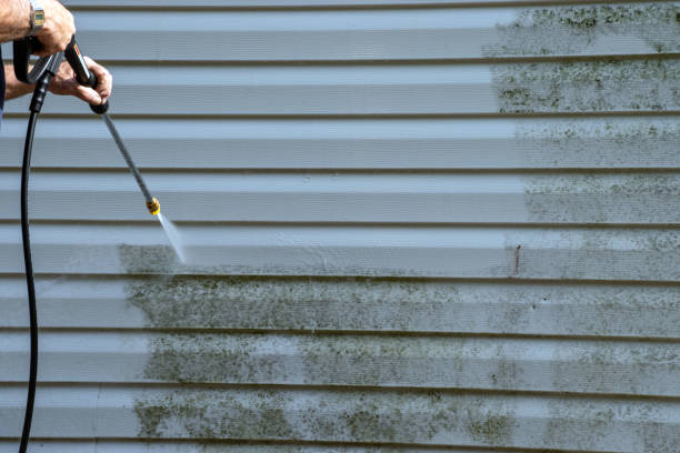 Best Foreclosure Cleanout  in Pelion, SC